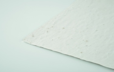 Logo trade reklaamkingitused foto: A4 metsalilleseemne paberileht